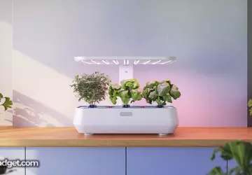 Smarte Gadgets für Pflanzenpflege