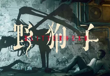 Verpassen Sie es nicht! Auf dem ...