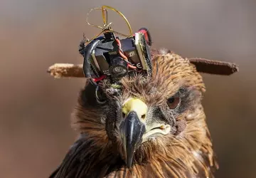 Indische Soldaten haben Drachen mit 40-Dollar-AliExpress-Kameras ...