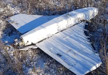 Im Inneren der abgeschossenen Gerbera hat ...