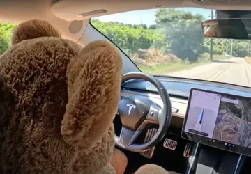 Das Sicherheitssystem von Tesla erlaubte dem ...