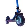 Alpenroller Miniatur - Bild 5