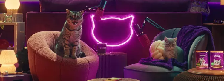 Whiskas hat den Purrcast-Podcast gestartet: Katzen ...