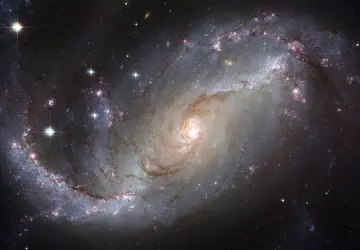 Wissenschaftler haben die widerlegte Hypothese der ...