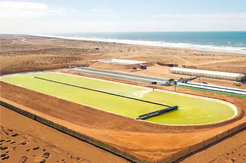 Der weltgrößte Algenwachstumsteich nutzt naturbasierte Technologie zur Abscheidung von CO2-Emissionen
