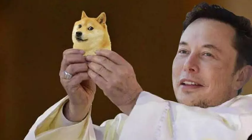 Dogecoin ist stark gestiegen - Tesla hat begonnen, Markenprodukte für DOGE zu verkaufen