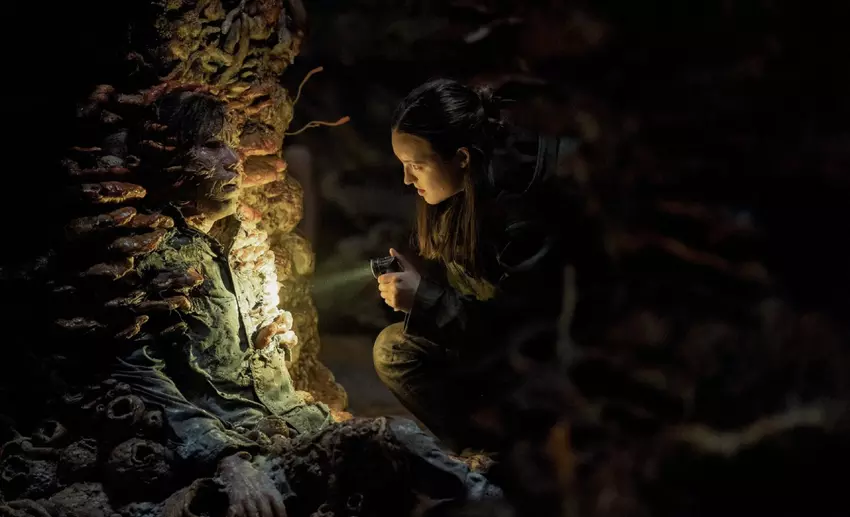 Die zweite Staffel von The Last of Us ist ein Opfer des Review Bombing: Zuschauer sind enttäuscht, aber Kritiker sind begeistert