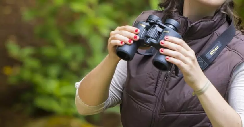 bestes fernglas unter 100 euro 2025