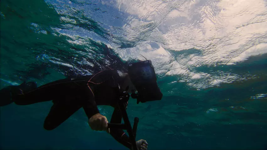 Samsung hat eine spezielle Ocean Mode-Technologie für Galaxy-Smartphones entwickelt, die Tauchern bei der Erforschung von Korallenriffen helfen soll