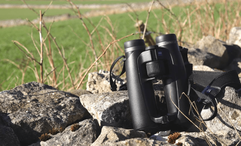 ZEISS VICTORY SF 10x42 Premium-Fernglas