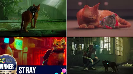 Die Geschichte von Stray: Wie eine Katze aus einer Cyberstadt zur Entdeckung des Jahres wurde und die Spieleindustrie beeinflusste