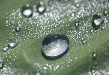 Wissenschaftler haben den Prozess der Wasserbildung ...