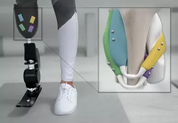 MIT: Magnetische Kügelchen helfen, die Kontrolle ...