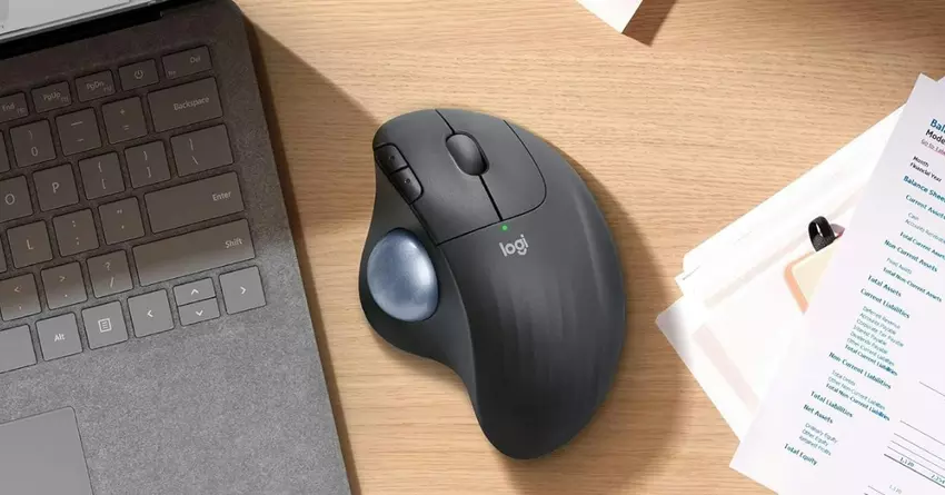 ergonomische kabellose Maus