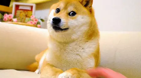 Kabosu, der Hund aus dem Doge-Mem, ist in seinem 18. Lebensjahr gestorben