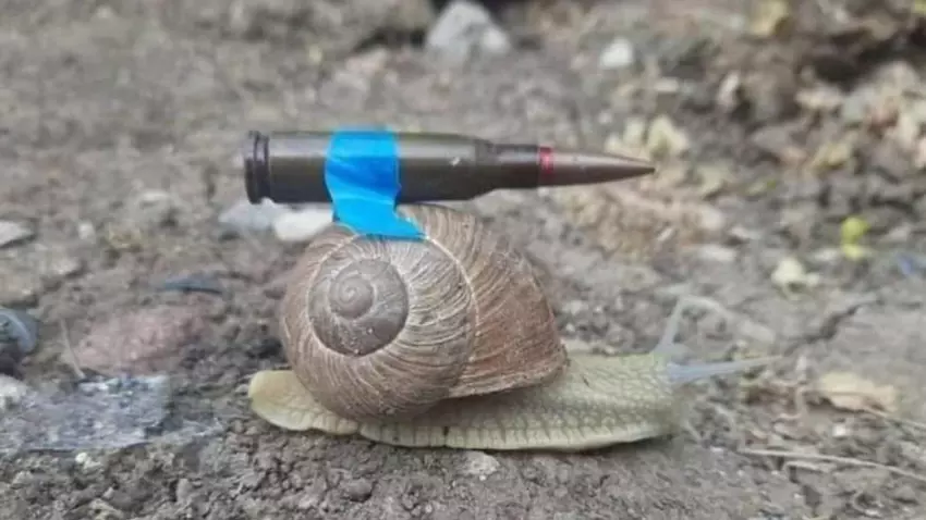 Deutschland bietet der Ukraine 20 Leopard 2-Panzer an, einen pro Monat ab April 2023