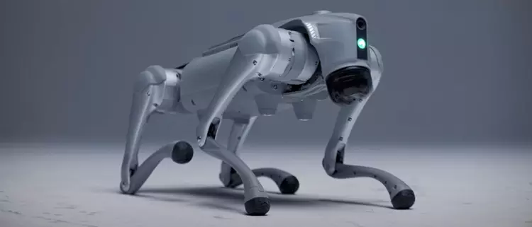 Der schwedische Roboter "Hund" Luna hat ...