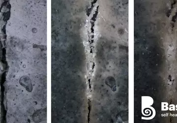 Ein selbstheilender Beton, der Risse mit ...