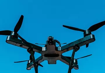 Tödliche Wespenstiche: Experten enthüllten, welche Drohnen ...