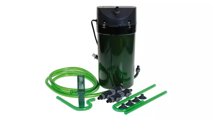 EHEIM beste Schildkrötenfilter für Aquarien