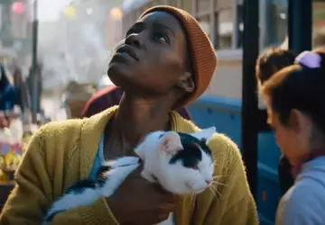 An seinem Eröffnungswochenende hat A Quiet ...