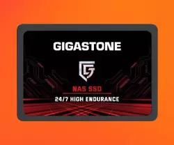 Gigastone Enterprise NAS SSD
