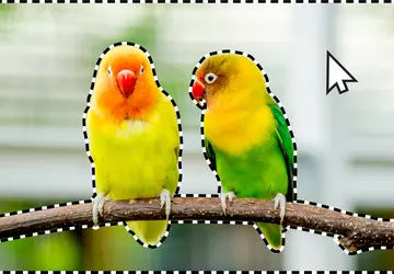 Adobe hat KI-Werkzeuge für die Objektauswahl, ...