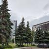 ASUS ZenFone 8 im Test-265 ASUS ZenFone 8 im Test-265