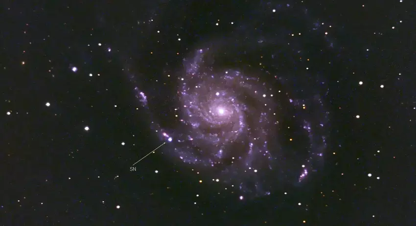 Wissenschaftler haben den Blitz einer der hellsten Supernovae des letzten Jahrzehnts live übertragen