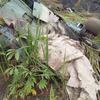 Ein russischer Mi-28NE Night Hunter Hubschrauber ist in Uganda abgestürzt, wobei alle Besatzungsmitglieder ums Leben kamen-11 Ein russischer Mi-28NE Night Hunter Hubschrauber ist in Uganda abgestürzt, wobei alle Besatzungsmitglieder ums Leben kamen-11