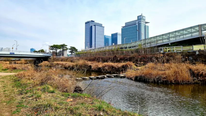 So feiert Samsung den „Weltwassertag“ – Samsung Global Newsroom