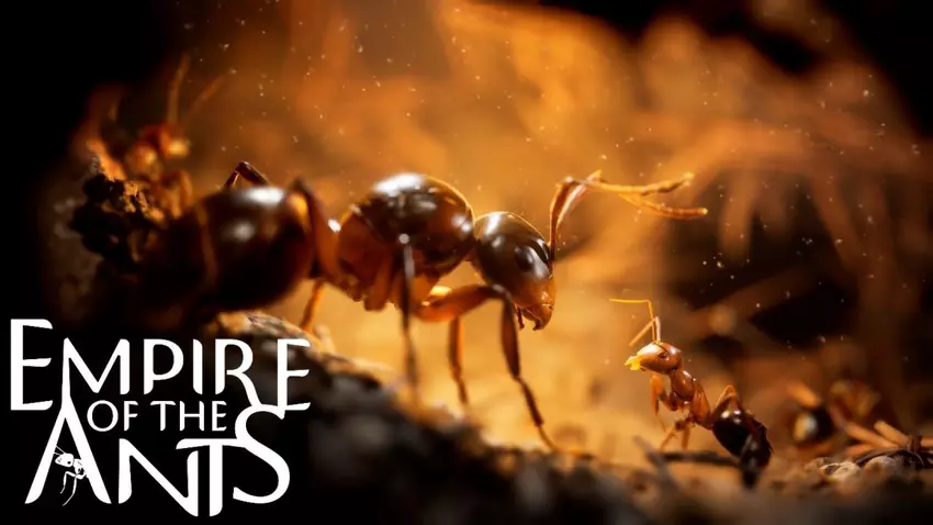 Empire of the Ants könnte für Switch 2 erscheinen: "Es geht hauptsächlich um die visuelle Qualität". 