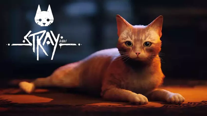 Fußball, eine düstere Zukunft und SEALs - die Steam-Verkaufscharts der letzten Woche wurden veröffentlicht