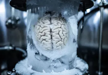 Kryonik für Einsteiger: Wie man ein ...