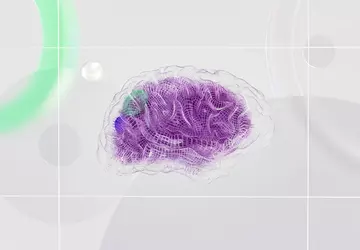 Die britische Regulierungsbehörde hat sieben Grundsätze ...