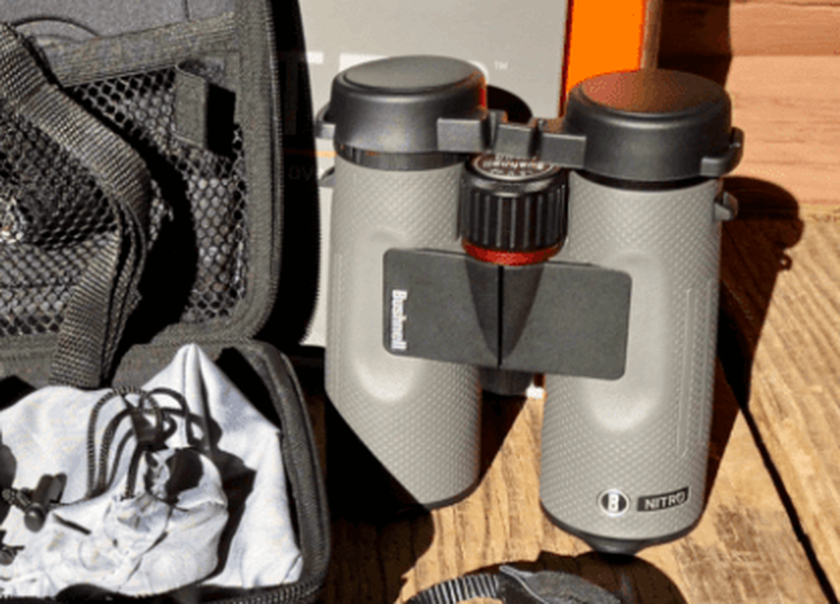 Bushnell Nitro 10x42 Wanderfernglas