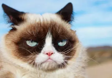 Die USA haben das auf maschinellem ...