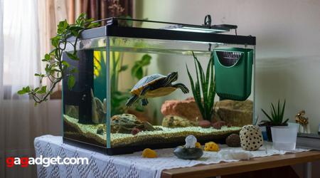 Bester Filter für Schildkrötenaquarium
