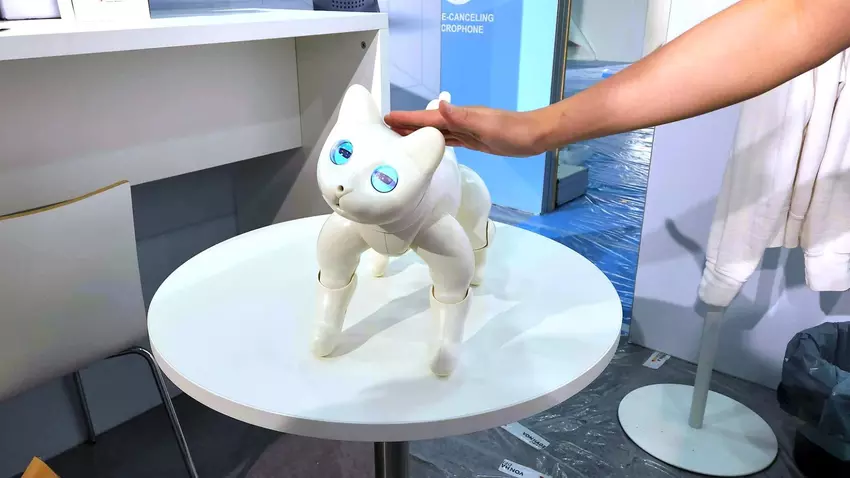 Auf der IFA 2022 zeigten sie MarsCat, eine knuddelige Roboterkatze, die Berührungen wahrnimmt, auf Stimmen reagiert und mit Spielzeug spielt