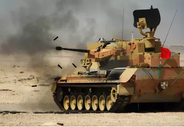 Die Luftwaffe erhält möglicherweise Gepard-Flugabwehrkanonen aus ...