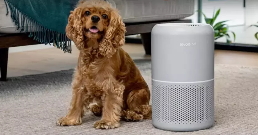LEVOIT Core 300S luftreiniger für katzen-geruch