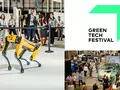 post_big/green2.jpg