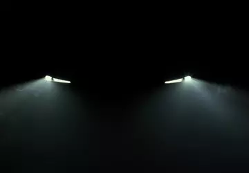 Was verbirgt sich in der Dunkelheit? ...