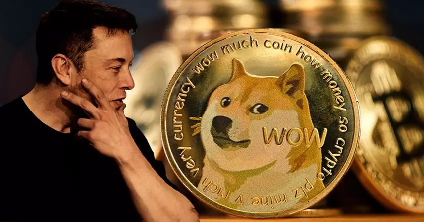 Dogecoin ist um 26% gestiegen, nachdem ein Foto von Elon Musks Hund auf Twitter veröffentlicht wurde