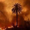 Waldbrand in Los Angeles