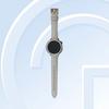 Die Uhr OWW242 wurde bei der TENAA beobachtet