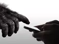 post_big/Corning-Gorilla-Glass-6-52.jpg