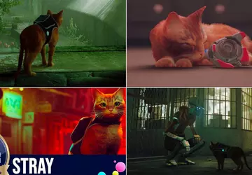 Die Geschichte von Stray: Wie eine ...