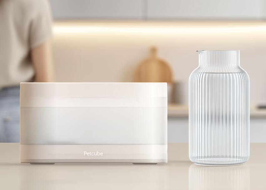 Nahaufnahme des Petcube Trinkbrunnens