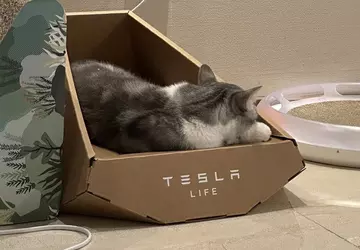 Es sieht so aus, als hätte ...